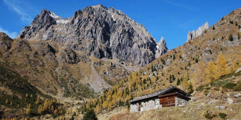 Malga-Miesnotta-di-sopra-con-dietro-la-Cima-Cece-Catena-del-Lagorai